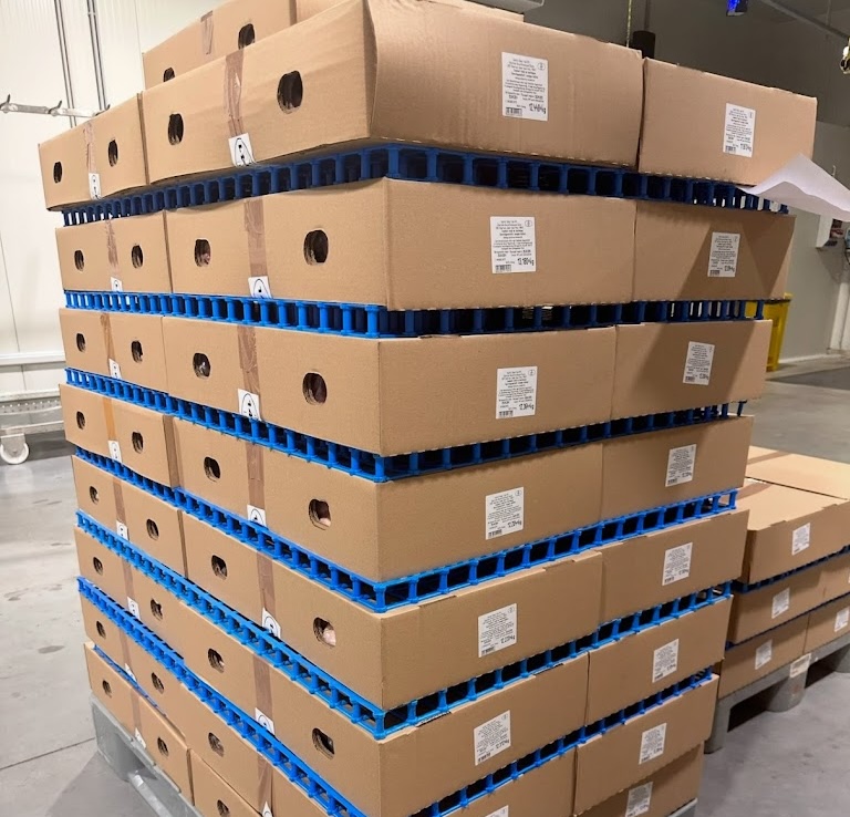 Ipari sokkolás és fagyasztás